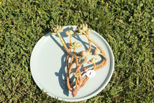 Load image into Gallery viewer, Sedum Shangri-la