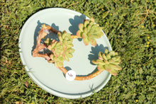 Load image into Gallery viewer, Shangri-la