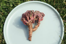 Load image into Gallery viewer, red flower