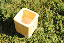 Load image into Gallery viewer, Glazed | 流釉盆