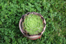 Load image into Gallery viewer, Glazed | 流釉盆