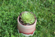 Load image into Gallery viewer, Glazed | 流釉盆