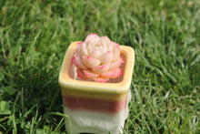 Load image into Gallery viewer, glazed wonder image