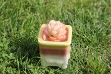 Load image into Gallery viewer, glazed best image