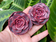 Load image into Gallery viewer, Muesli