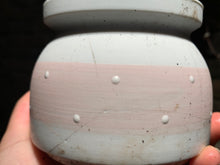 Load image into Gallery viewer, 【PICKUP ONLY】Set H (rooted with pot) | 组合H (已服盆)