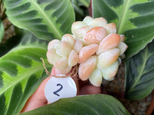 Load image into Gallery viewer, Ice green flower