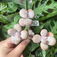 Load image into Gallery viewer, Moonstone image