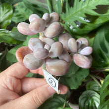 Load image into Gallery viewer, best flowerMoonstone