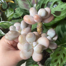 Load image into Gallery viewer, Moonstone