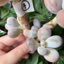 Load image into Gallery viewer, Moonstone