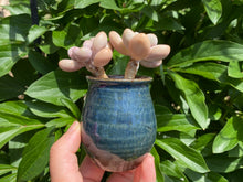 Load image into Gallery viewer, Amethystinum (rooted with pot) flower