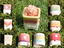 Load image into Gallery viewer, Glazed collection images