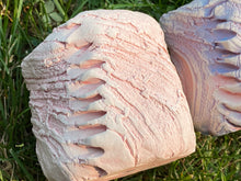 Load image into Gallery viewer, Twisted | 扭扭