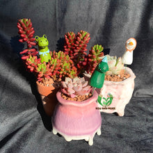 Load image into Gallery viewer, Animal Decoration | 动物插件