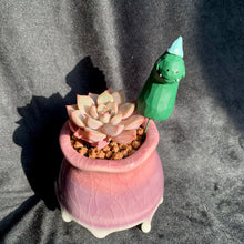 Load image into Gallery viewer, Animal Decoration | 动物插件