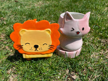 Load image into Gallery viewer, cats images