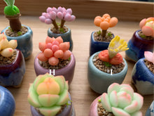 Load image into Gallery viewer, mini-clay-succulent13