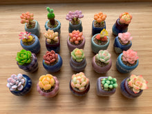 Load image into Gallery viewer, mini-clay-succulent3