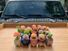 Load image into Gallery viewer, mini-clay-succulent7