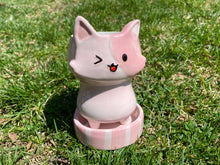 Load image into Gallery viewer, Cats | 猫科动物
