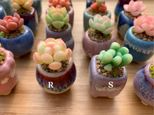 Load image into Gallery viewer, mini-clay-succulent17