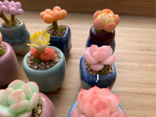 Load image into Gallery viewer, mini-clay-succulent14