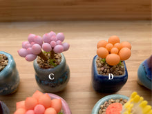 Load image into Gallery viewer, mini-clay-succulent10