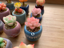 Load image into Gallery viewer, Mini Clay Succulent | 树脂多肉