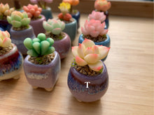 Load image into Gallery viewer, mini-clay-succulent18