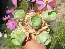 Load image into Gallery viewer, Greenovia