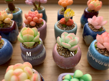 Load image into Gallery viewer, mini-clay-succulent16