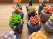 Load image into Gallery viewer, mini-clay-succulent15
