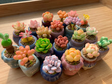 Load image into Gallery viewer, mini-clay-succulent6