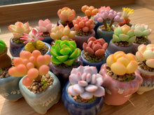 Load image into Gallery viewer, mini-clay-succulent5