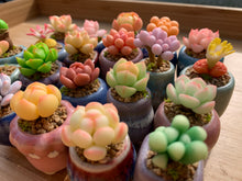 Load image into Gallery viewer, mini-clay-succulent4