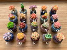 Load image into Gallery viewer, mini-clay-succulent8