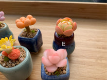 Load image into Gallery viewer, mini-clay-succulent11
