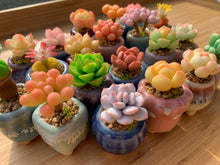Load image into Gallery viewer, mini-clay-succulent2
