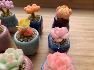 mini-clay-succulent14
