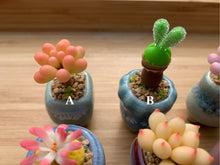 Load image into Gallery viewer, mini-clay-succulent9
