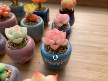 Load image into Gallery viewer, Mini Clay Succulent | 树脂多肉
