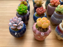 Load image into Gallery viewer, mini-clay-succulent16
