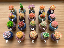Load image into Gallery viewer, mini-clay-succulent8
